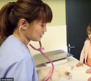 Massey University Vet Science