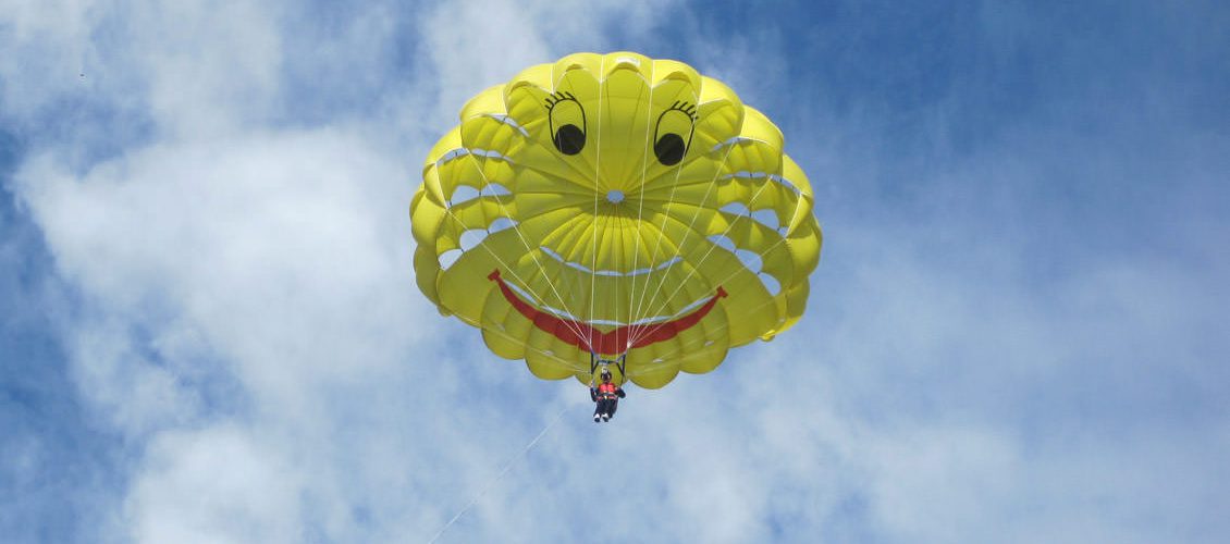 Have fun while studying in New Zealand University